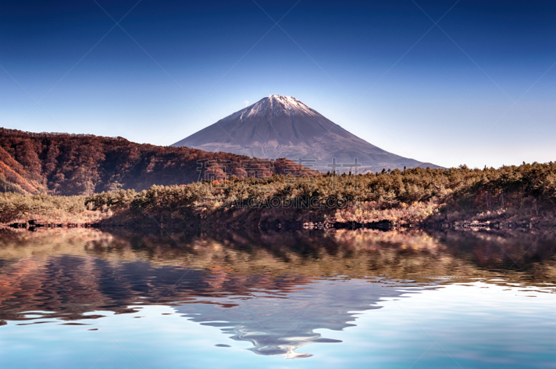 saiko lake,日本,富士山,塔,在上面,自然,非都市风光,湖岸,旅游目的地,水平画幅