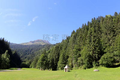 France. Auvergne-Rhône-Alpes. Haute-Savoie. Les Contamines-Montjoie. August, 20, 2018. Forêt de sapins dans la réserve naturelle des Contamines-Montjoie dans les alpes françaises.