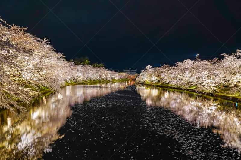 樱花,季节,弘前公园,光,传统节日,春天,正下方视角,室内过夜,水面,公园