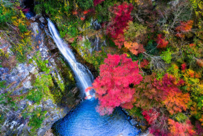 日本,16岁到17岁,箕面市,清新,环境,静水,著名景点,京都府,园林,植物