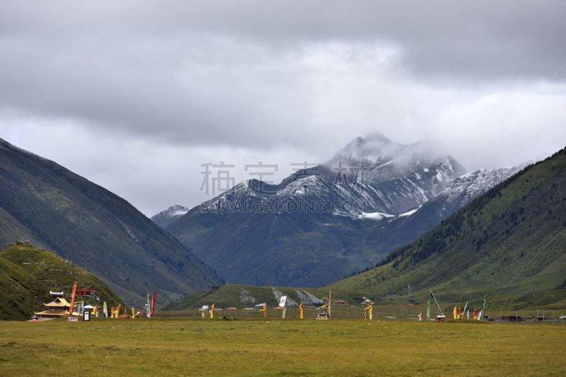 雪,高原,平原,四川省,山,西,云,甘孜藏族自治州,草,色彩鲜艳