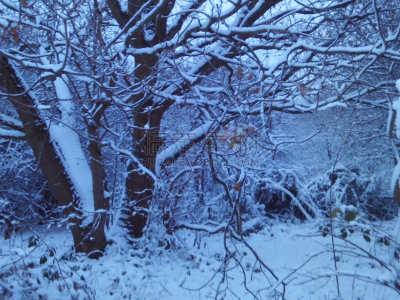 夜晚,十二月,2017年,扫雪车,寒冷,水平画幅,雪,无人,路,城市天际线