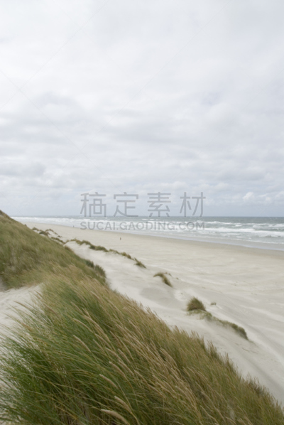 风,海滩,泰尔斯海灵岛,海岸野燕麦,沙尘暴,滨草,垂直画幅,天空,留白,度假胜地