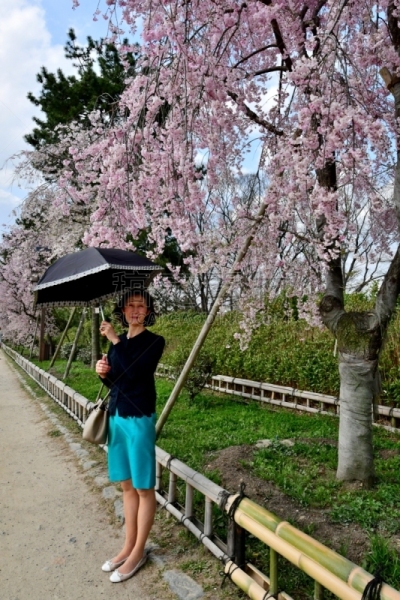 京都府,日本人,鸭川,女人,樱桃树,河岸,垂直画幅,樱花,河堤,户外