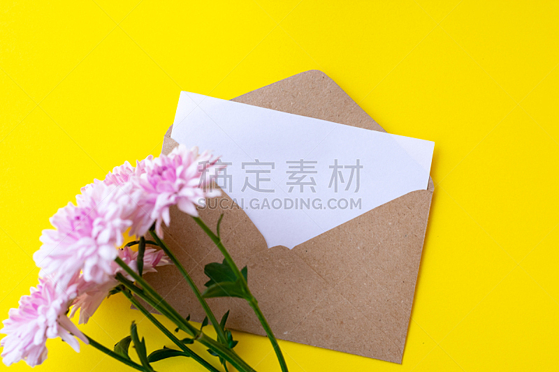 信函,信封,空白的,菊花,粉色,明亮,黄色,周年纪念,请柬,事件