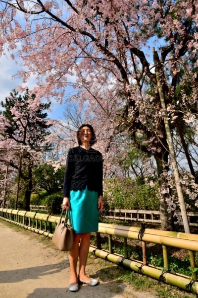 京都府,日本人,鸭川,女人,樱桃树,河岸,垂直画幅,半身像,樱花,河堤