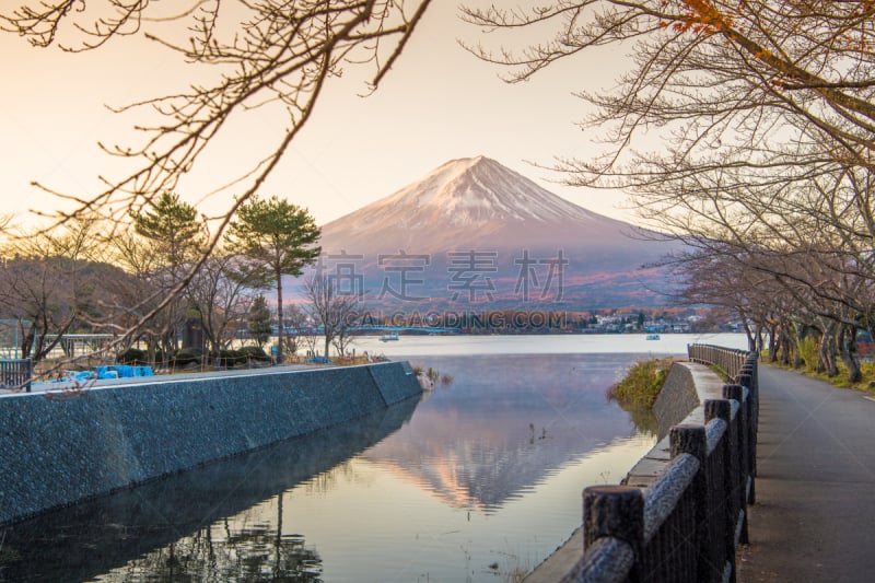 富士山,早晨,湖,秋天,日本,季节,河口湖,富士河口湖,山梨县,鸡爪枫