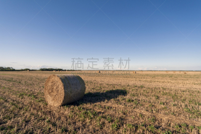 天空,蓝色,干草卷,农业,田地
