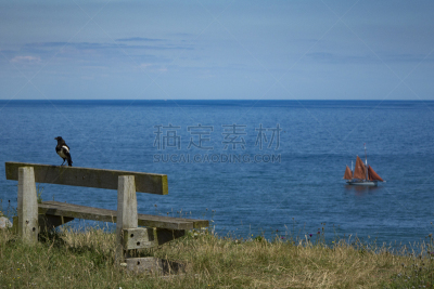 长椅,英格兰,自然美,鸟类,布里克瑟姆,德文郡,海洋,宁静,地形,看风景