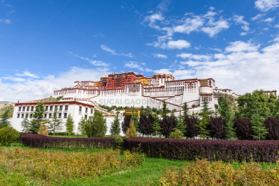 中国,布达拉宫,月亮,都市风景,时间,户外,红色,古老的,著名景点,高处
