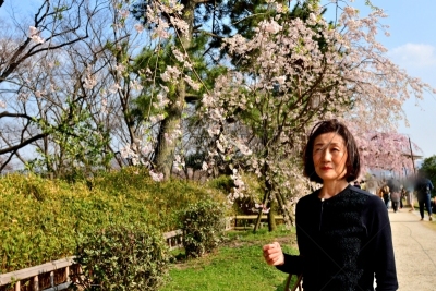 京都府,日本人,鸭川,女人,樱桃树,河岸,半身像,水平画幅,樱花,河堤