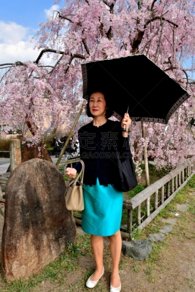 京都府,日本人,鸭川,女人,樱桃树,河岸,垂直画幅,樱花,河堤,户外