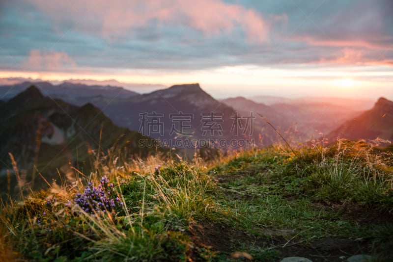 本尼斯阿尔卑斯山,风景,布里恩茨,瑞士,西,徒步旅行,伯尔尼省,山脊,曙暮光,日落