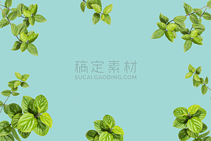 绿色背景,叶子,植物,自然,绿色,纹理效果,清新,背景分离,彩色背景