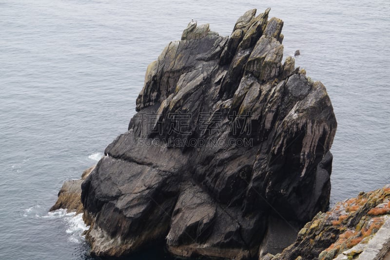 斯凯利格岛,海鸥,海鸟,鲣鸟,自然,图像,海洋,大西洋,角嘴海雀,巨大的