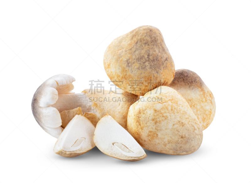 白色背景,草菇,分离着色,自然,有机食品,蔬菜,晚餐,清新,烹调