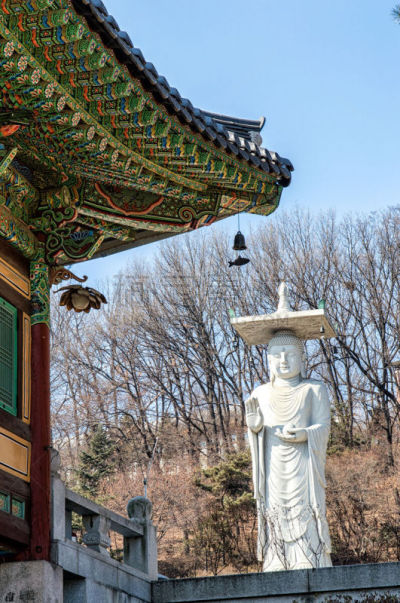 寺庙,江南区,犹太教会堂,首尔,垂直画幅,夜晚,无人,户外,都市风景,韩国