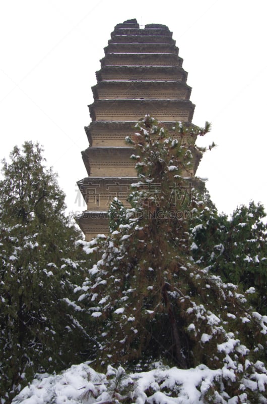 雪,宝塔,平衡折角灯,野生植物,小的,喜字