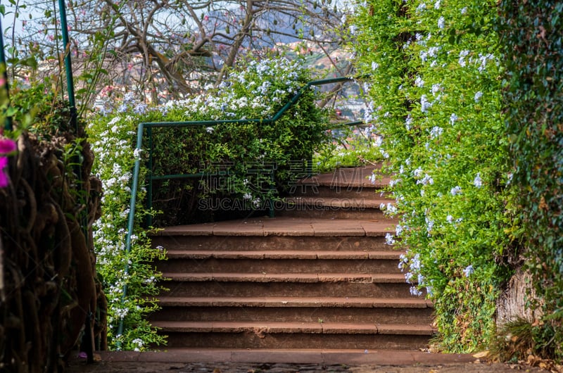 植物园,小路