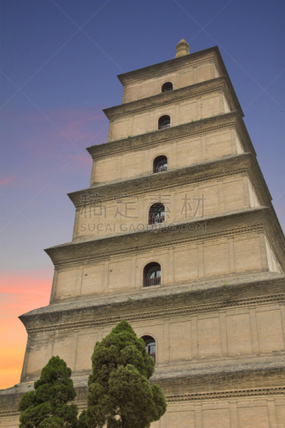 巨大的,宝塔,野外动物,大雁塔,西安,陕西省,垂直画幅,无人
