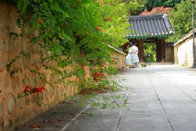 巷,柏林墙,几乎,叶子,传统,过去,砖,著名景点,自然美,韩国