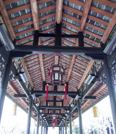 灯笼,唐朝,中国对联,成都,盆景,四川省,垂直画幅,公园,无人,古老的