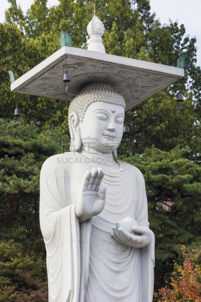 寺庙,首尔,朝鲜半岛,居住区,江南区,垂直画幅,夜晚,曙暮光,旅行者,户外