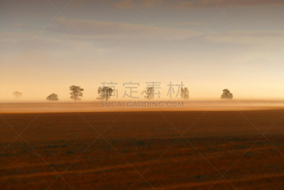 尘暴,风,暴风雨,新南威尔士,水平画幅,透过窗户往外看,无人,干的,草地围场,农作物