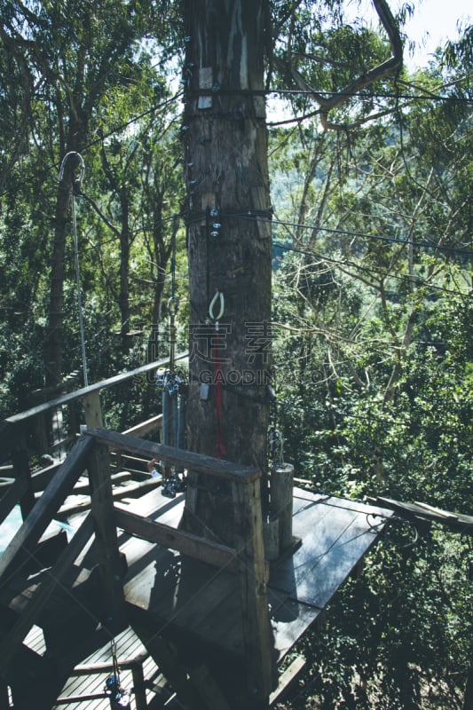 花木匠,断头台,绳栏,垂降,链锯,树梢,垂直画幅,天空,旅行者,夏天