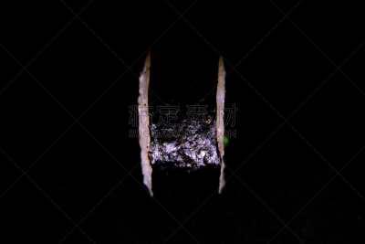 阴阳符,黑色背景,旋转卡片目录,分离着色,菜单,米,东方食品,酱汁,餐具,三文鱼