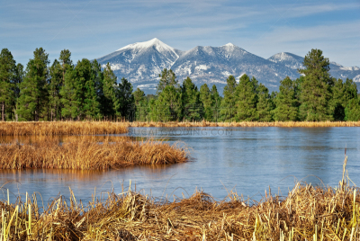 湿地,圣佛兰西斯科群峰,科科尼诺县,飘然,雪山,雪,香蒲,池塘,著名景点,自然美