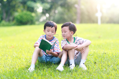 男孩,书,可爱的,兄弟,平和,小学,肖像,东亚人,公园,仅儿童