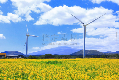 风轮机,草地,替代能源,田地