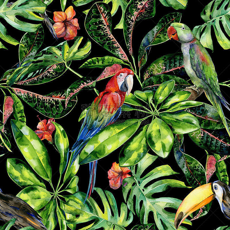 鸟类,四方连续纹样,叶子,鸡尾酒,水彩画,水彩画颜料,多样,热带气候,环境,野生动物