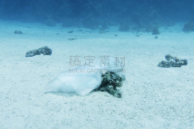 古老的,材料,在底端,环境,地球形,海洋,概念,湿,清洗