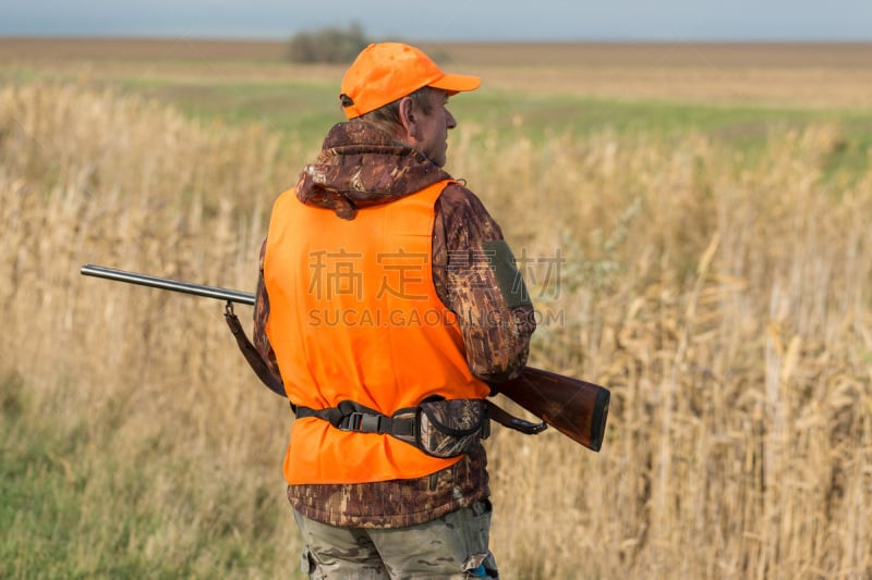 A man with a gun in his hands and an orange vest on a pheasant hunt in a wooded area in cloudy weather. Hunter with dogs in search of game.