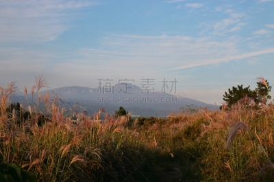 제주에 있는 '예래 생태 공원'의 풍경이다.