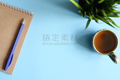 速写本,植物,纸,绿色,笔记本,手艺,水笔,留白,蓝色背景,做