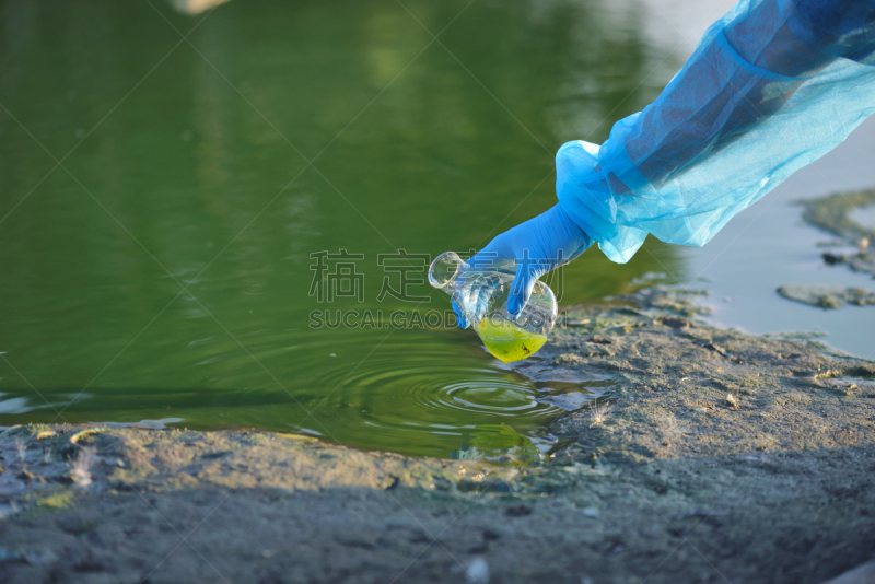 手,湖,医学样本,环境,研究人员,特写,农业,手套