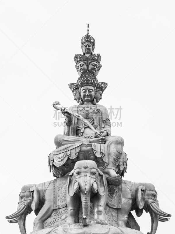 金佛寺,峨眉山,掸邦,四川省,垂直画幅,灵性,荷花,无人,巨大的,单色调