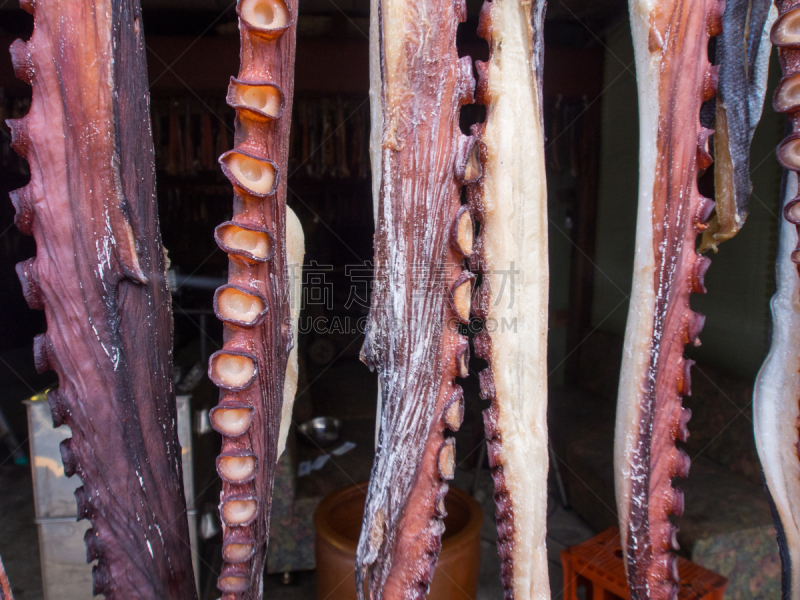 传统,触须,干燥食品,章鱼,日本,悬挂的,北海道,待售,海产,食品