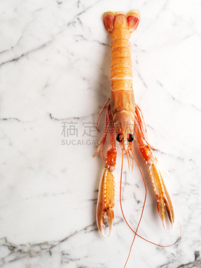 螯虾,小龙虾,清新,食用大虾,生食,渔业,热带气候,动物,海鱼,人的眼睛