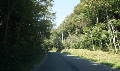 日本,山,仅日本人,著名景点,古代史,日本人,休闲活动,户外