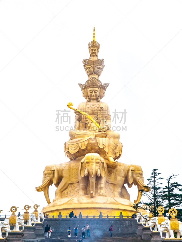 金佛寺,峨眉山,涅槃,掸邦,四川省,垂直画幅,灵性,荷花,无人,巨大的