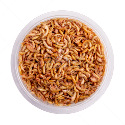 食品,海龟,鱼类,白色,干燥食品,虾,分离着色,看风景,塑料容器,上装