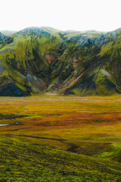 自然美,风景,草地,五彩山,在之间,原野,在上面,日出
