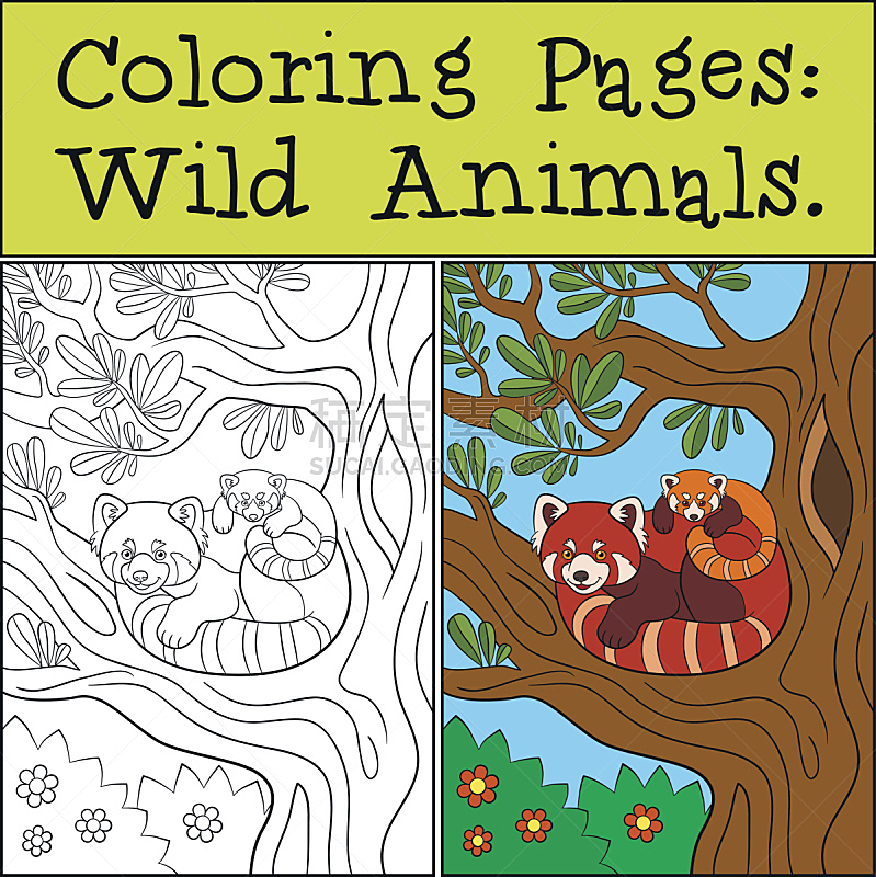 小熊猫,婴儿,书页,野外动物,母亲,熊猫,幼儿园,可爱的,休闲游戏,野生动物