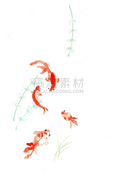 金鱼,水生植物,水彩画颜料,橙色,动物,鲤鱼,锦鲤,动物鳍,植物,模拟设备