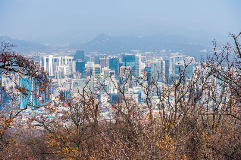 韩国,都市风景,首尔,市区,雾,山,雪,腰部以下,冬天,树