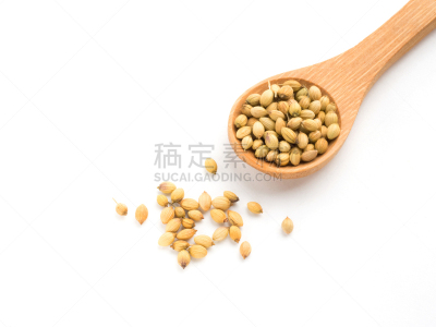 香料,胡荽籽,种子,白色背景,木匙,概念,分离着色,大蒜,药,营养品